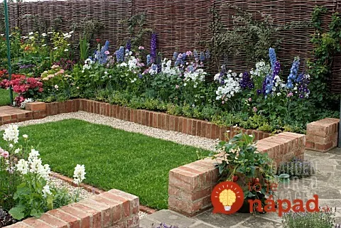 SMALL GARDEN WITH BRICK BORDER, SPRING BORDER : DELPHINIUM, LAVATERA (LAVATERA, MALLOW ). TRELLIS : TRELLIS IN WOVEN