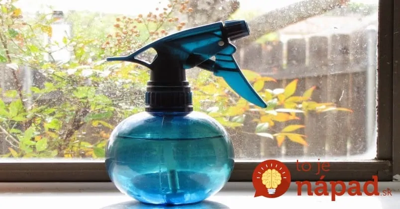 this-is-how-to-get-rid-of-flies-in-your-house