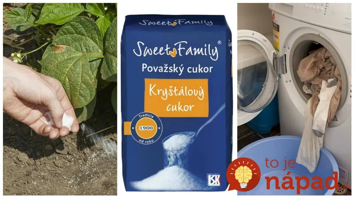 Títo ľudia používajú obyčajný cukor spôsobom, o akom sa nám ani nesnívalo: 11 trikov, ktoré ušetria kopec peňazí aj námahy!