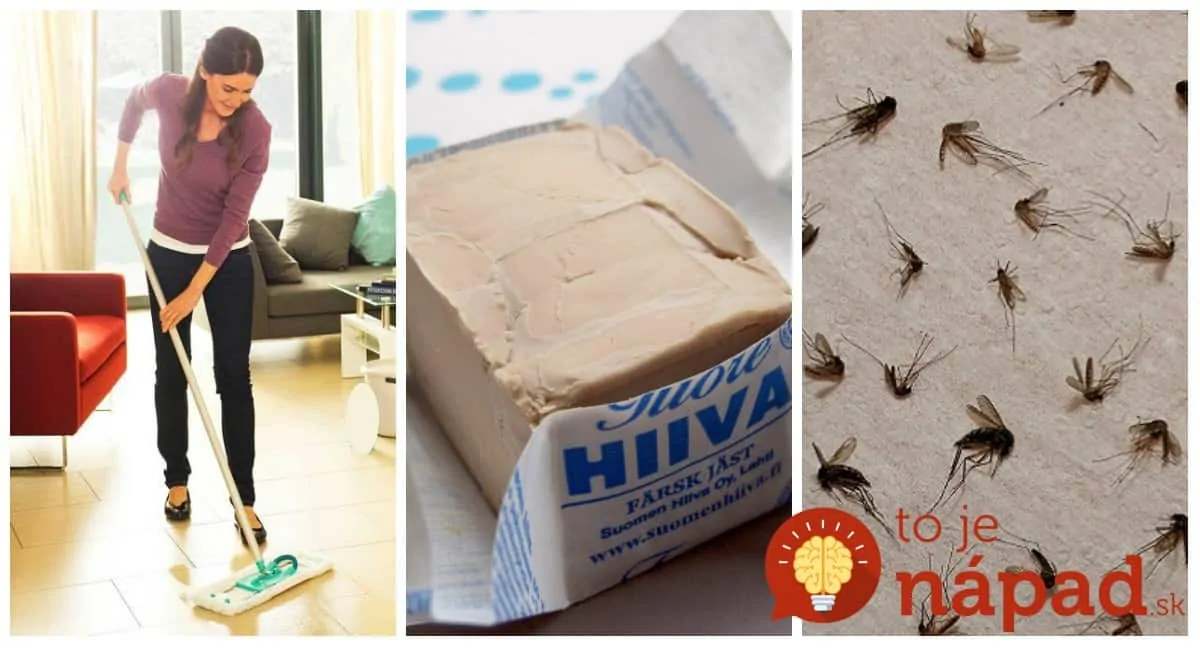 Nepridávajte ho len do cesta: Títo ľudia prišli s nevídaným nápadom, ako využiť obyčajné droždie – odteraz ho nedáte z ruky!