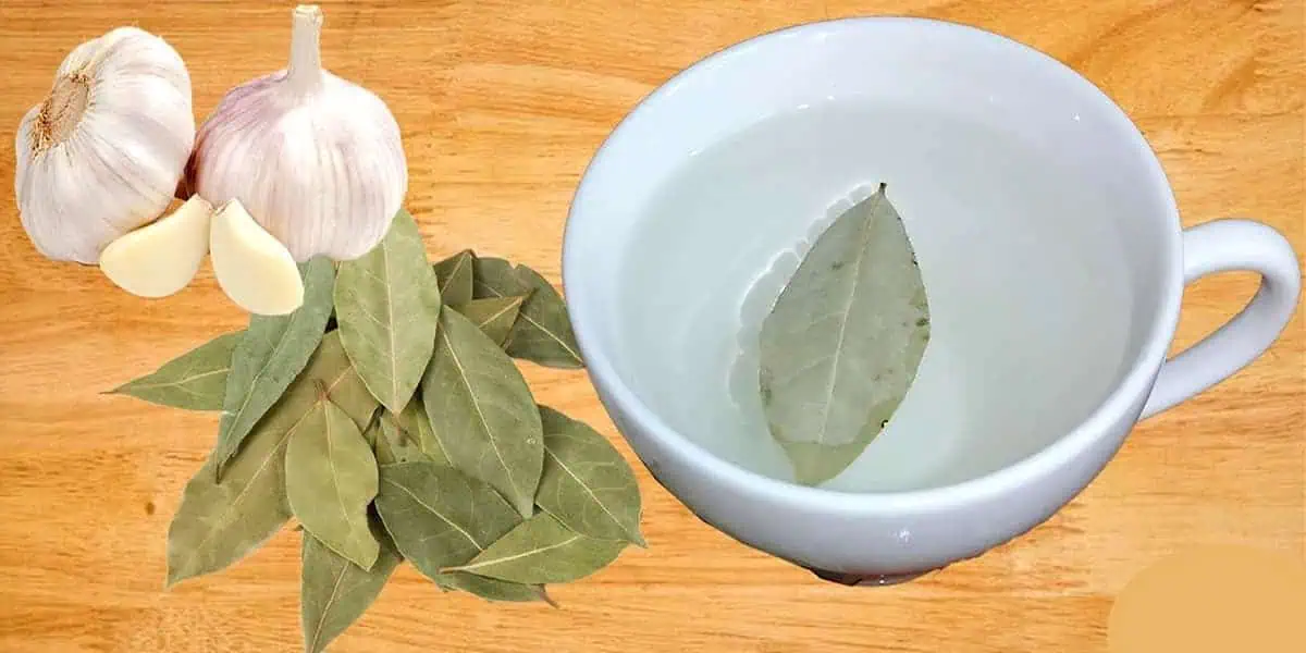 Dajte variť 3 bobkové listy, 2 strúčiky cesnaku a za tento recept budete do smrti vďační: TU je jeho účinok!