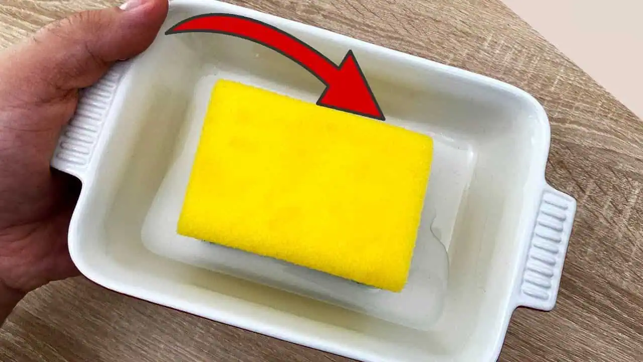 Miska s HUBKOU: Toto je dôvod, prečo by mala byť v každom jednom dome (tajomstvo mojej starej mamy)!