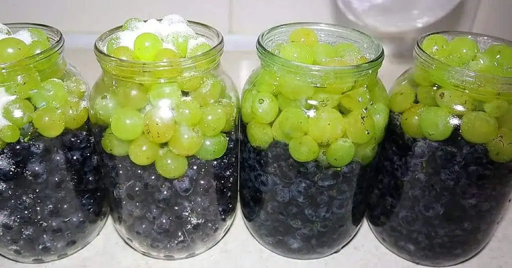 Takto skladujem hrozno zo záhrady až 2 ROKY: Je ešte chutnejšie ako čerstvé!