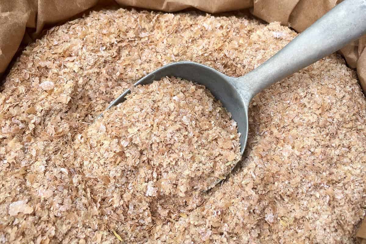 Všetci kupujeme ovsené vločky a vedľa nich je OVEĽA hodnotnejší produkt: Vyčistí črevá od „smetí“ a pomôže vám schudnúť!