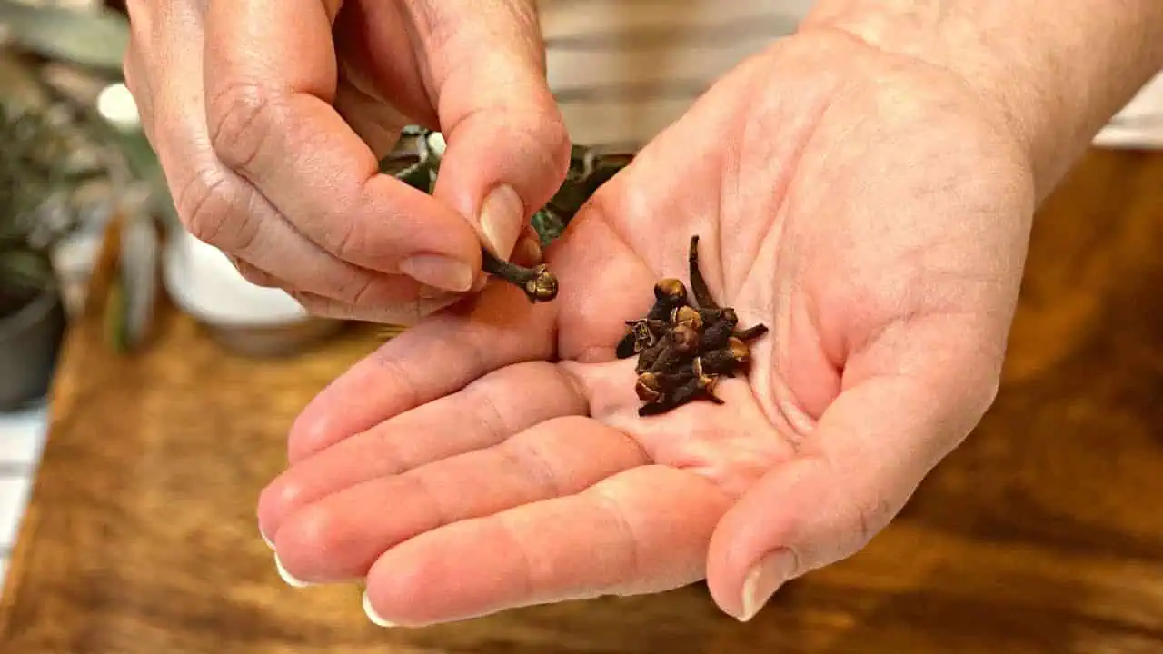 Vyčistite si pľúca a prestaňte kašľať: Domáci recept na bronchitídu ma zbavil kašľa za 3 DNI!