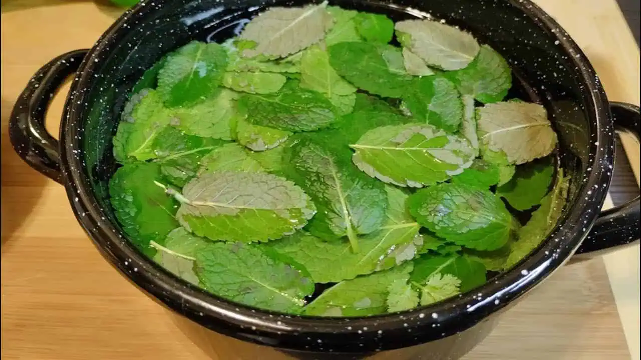 Trápi vás VYPADÁVANIE a pomalý rast? Tento recept zachráni vlasy aj po 60-tke!
