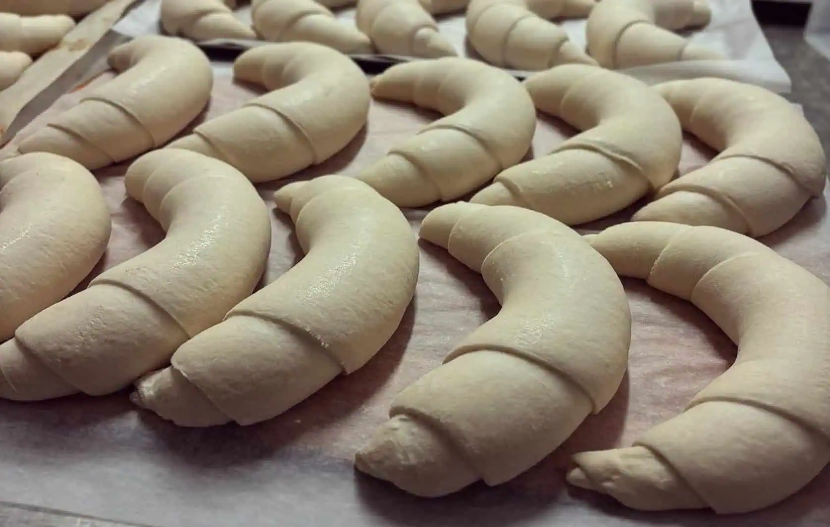 Odkedy mám tento recept, rožky sa u nás nekupujú: Chrumkavá kôrka a vnútri sú ako páperie – pečú sa 15 minút!
