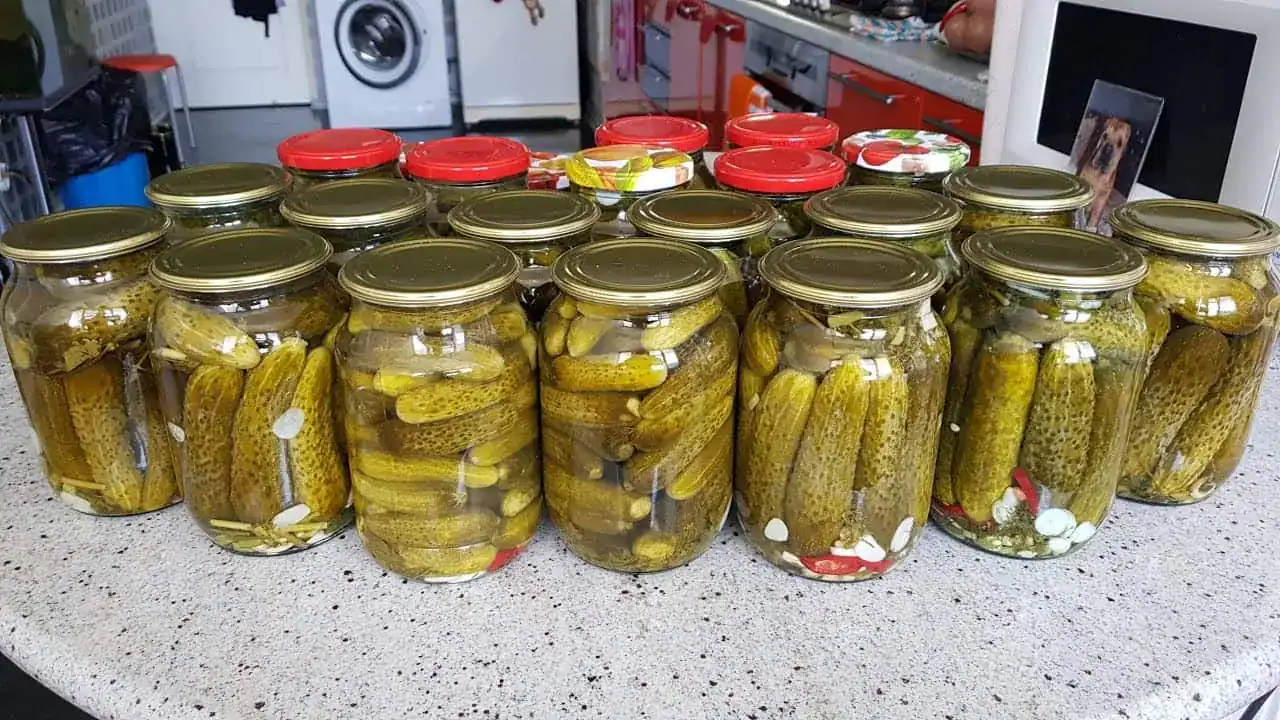 Zapamätajte si tento recept na celú sezónu: Najlepší recept na uhorky bez vareného nálevu, iný postup už ani nehľadajte!