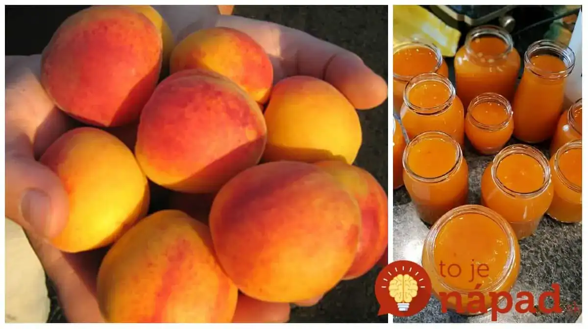 Žiaden želírovací cukor ani chémia: Neprekonateľný recept na marhuľový džem podľa prababky, taký v obchode nekúpite!