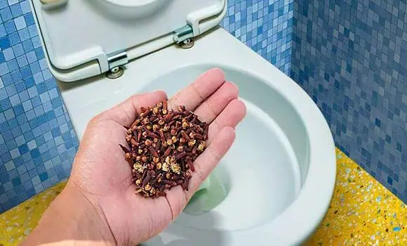 Už žiaden ZÁPACH z toalety či upchatého odtoku, funguje to ako kúzlo: Geniálne triky v momente zlikvidujú zápach v byte!