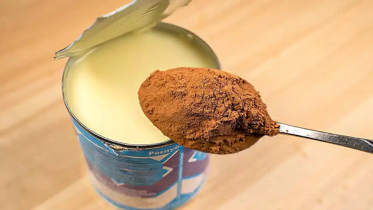Do SALKA pridám 1 lyžicu obyčajného kakaa a robím takto vždy v lete: Výsledok vás okamžite nadchne (RECEPT)!