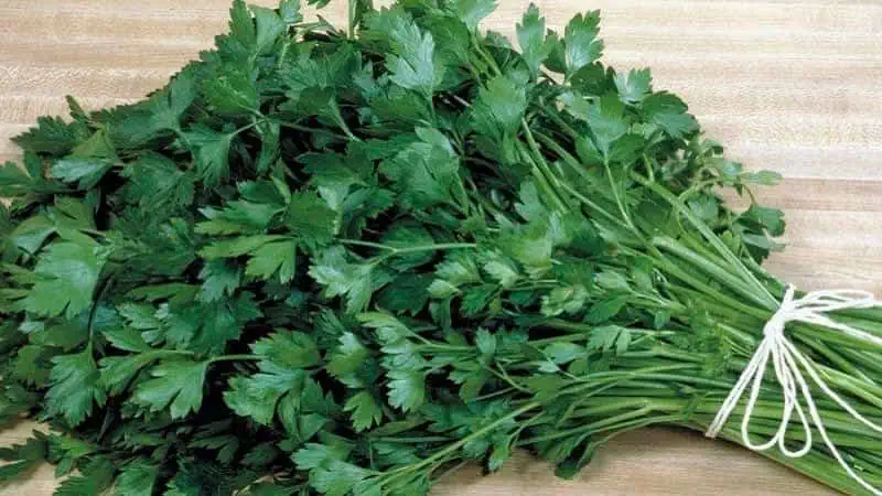 Vyčistite cievy, kĺby a pečeň! Ľudový liek z petržlenu na rýchle čistenie tela od solí – RECEPT!