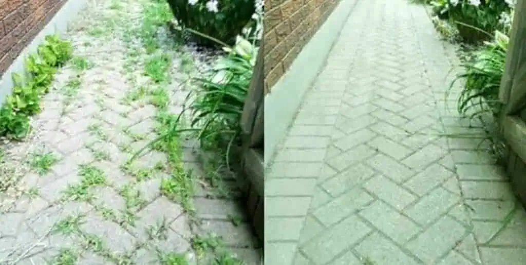 Tráva v škárach na chodníku ma už vôbec netrápi: Teta mi poradila svoju domácu fintu – burinu LIKVIDUJE rýchlo a natrvalo!
