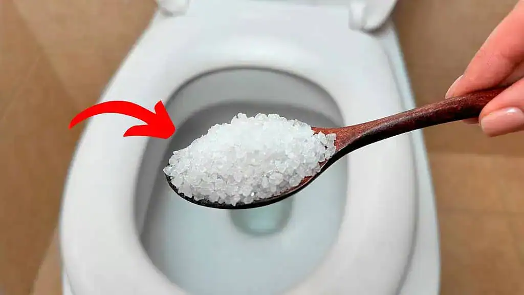Nasypte SOĽ do toalety: Úžasné, čo sa stane po chvíli!