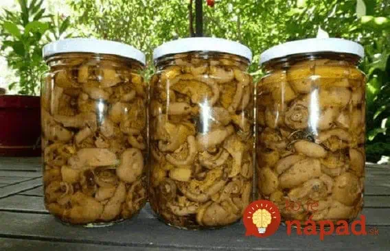 Toto mi poradil hubár z Oravy a naozaj to funguje: Po 2 rokoch chutia HUBY ako čerstvé, bez nálevu, vody a akýchkoľvek prísad!