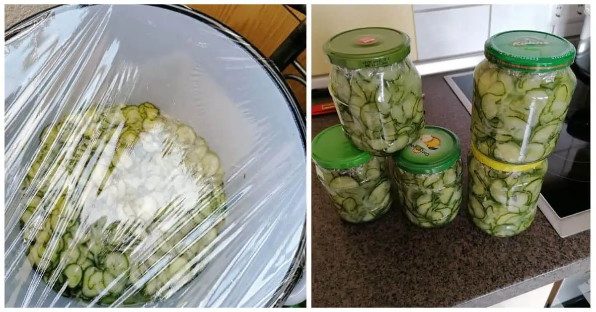 Švédsky uhorkový šalát na zimu: Jednoduchý recept, ktorý si zamilovala celá rodina!