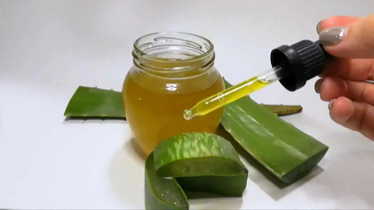 To by mal vedieť každý, kto ju má: Tušíte, čo dokáže list Aloe Vera, keď ho zmiešate s OLEJOM? Poklad do každej rodiny!