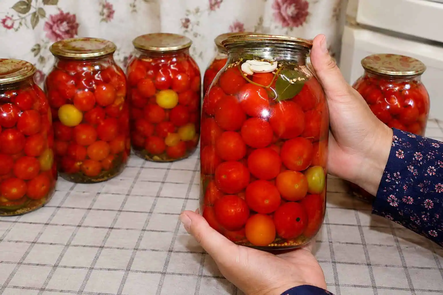 Marinované cherry paradajky, ktoré miznú ako prvé: Každý rok zaváram 30 pohárov a aj tak je to málo!