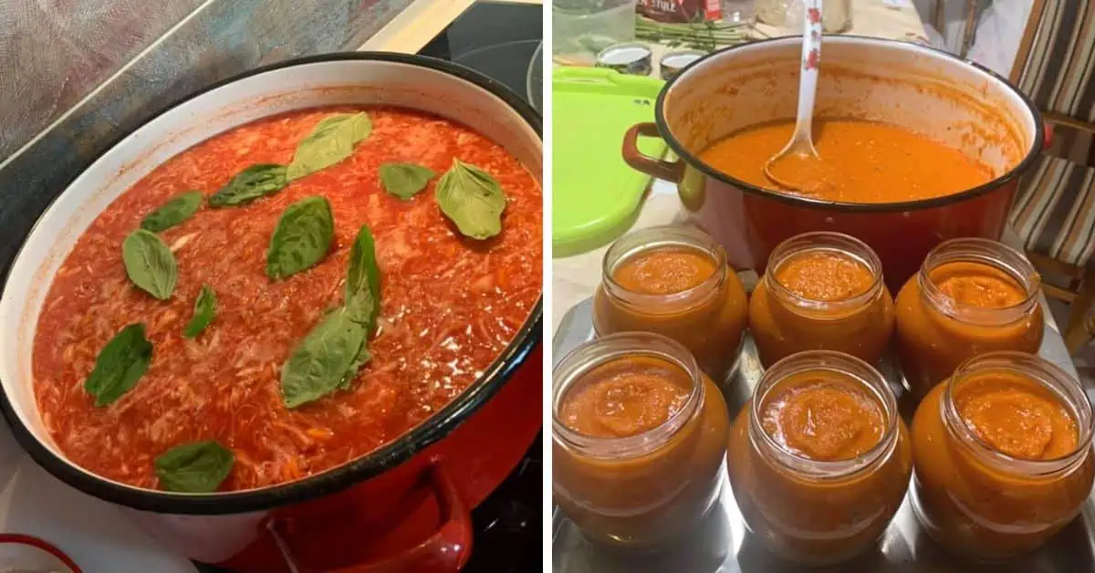 Domáca bolonská omáčka na zimu: Jednoduchá a veľmi chutná pochúťka na celý rok!